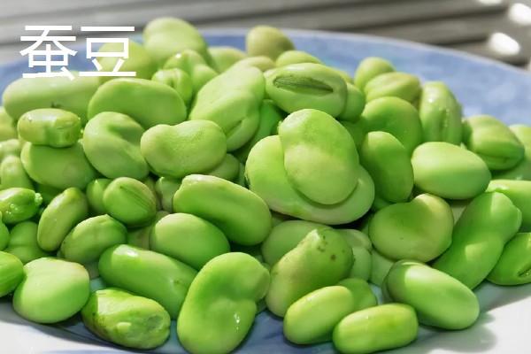 豆的寓意是什么，不同种类的寓意不同