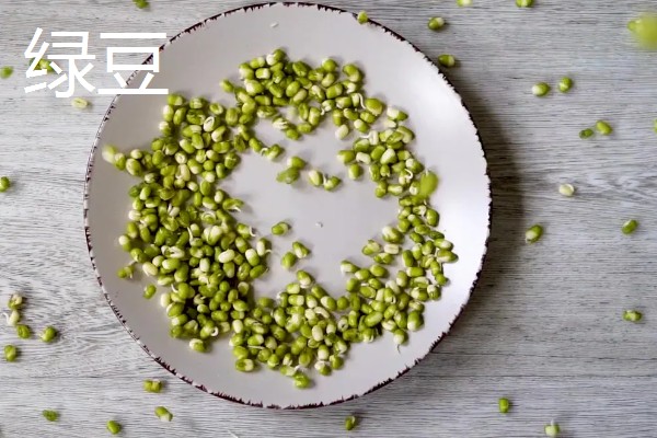 豆的寓意是什么，不同种类的寓意不同