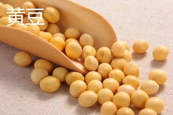 豆的寓意是什么，不同种类的寓意不同