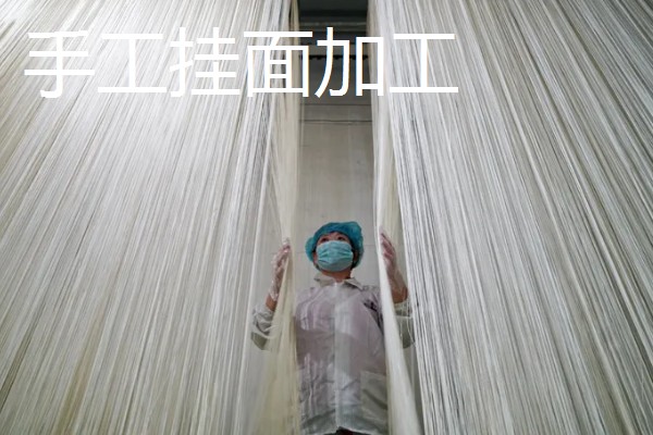 哪些项目可以快速致富，手工挂面加工的经济见效很快