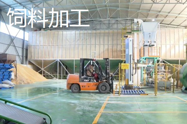 哪些项目可以快速致富，手工挂面加工的经济见效很快