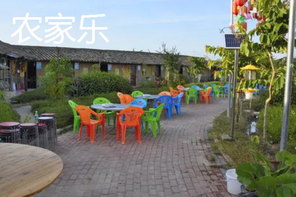 哪些项目可以快速致富，手工挂面加工的经济见效很快