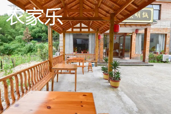 哪些项目可以快速致富，手工挂面加工的经济见效很快