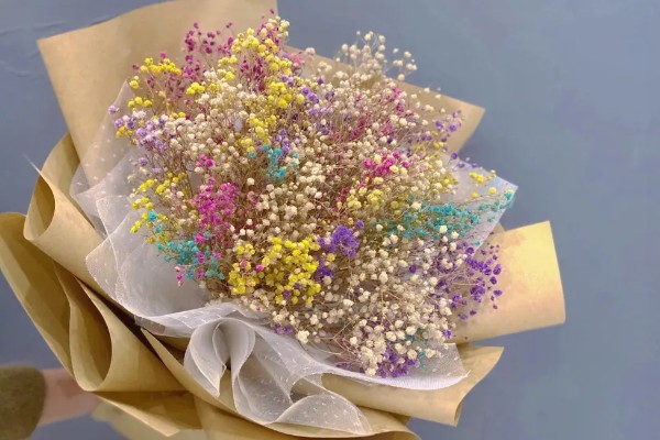 怎么养满天星花束，可将枝条插入在瓶中养