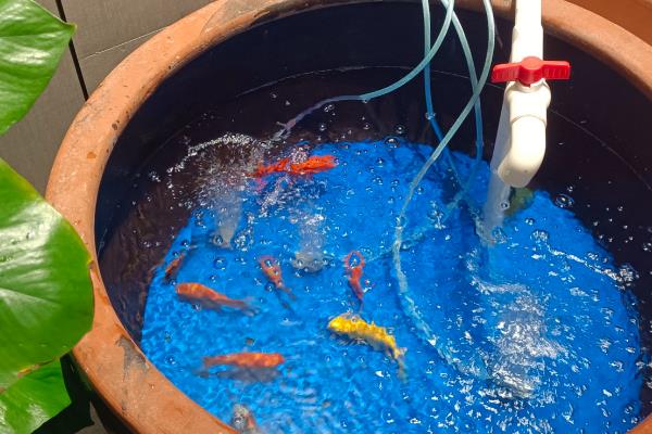 户外水缸的防冻方法,埋入土壤中可以保温