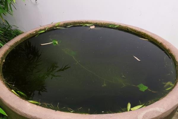 户外水缸的防冻方法,埋入土壤中可以保温