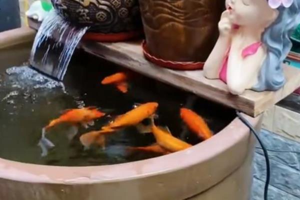 户外水缸的防冻方法,埋入土壤中可以保温