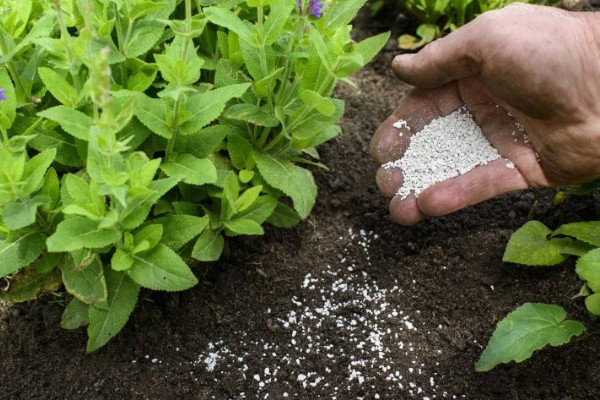 复合肥的正确使用方法，适合作基肥使用