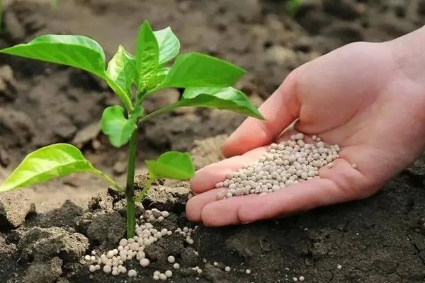 复合肥的正确使用方法，适合作基肥使用