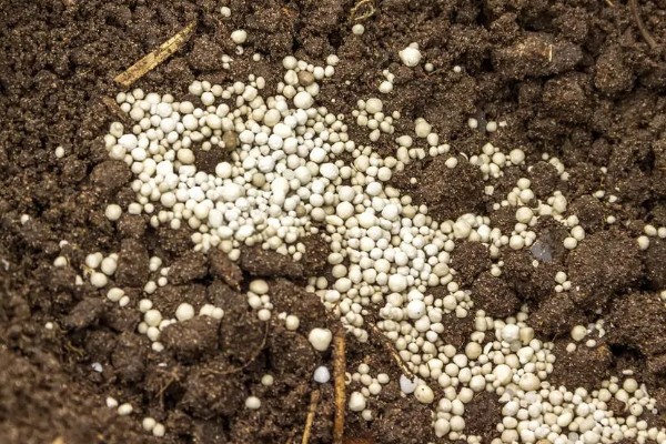 复合肥的正确使用方法，适合作基肥使用