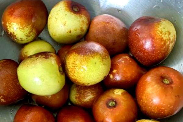 冬枣用冰箱能保存多久，保鲜时间为2-3周