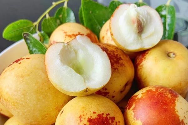 冬枣用冰箱能保存多久，保鲜时间为2-3周