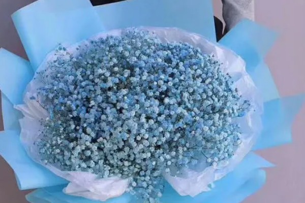 毕业花束选哪种花，可以选择满天星、玫瑰等