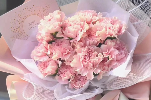 毕业花束选哪种花，可以选择满天星、玫瑰等