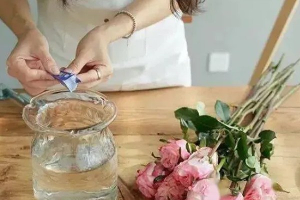 毕业花束选哪种花，可以选择满天星、玫瑰等