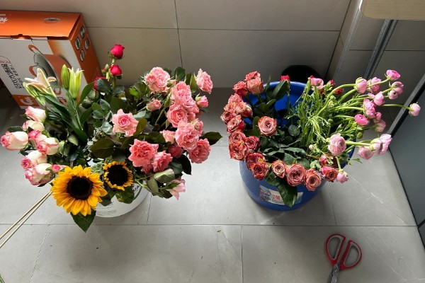 毕业花束选哪种花，可以选择满天星、玫瑰等
