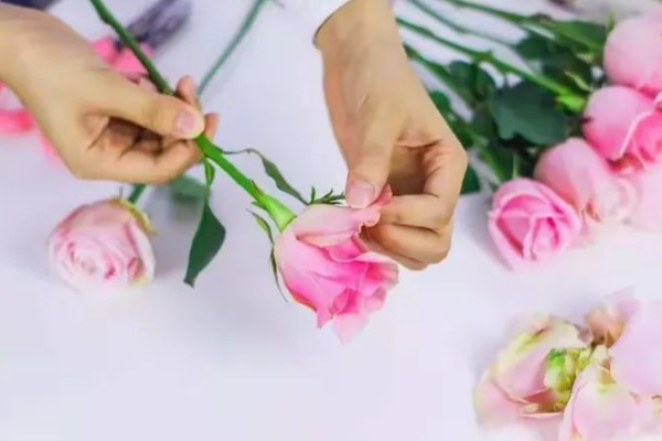 毕业花束选哪种花，可以选择满天星、玫瑰等