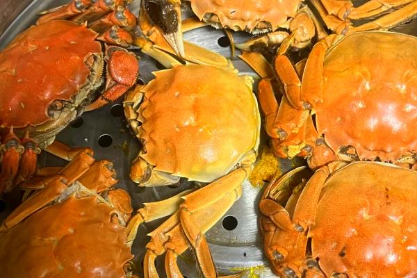 母蟹成熟如何辨引,可以看肚脐、背壳等