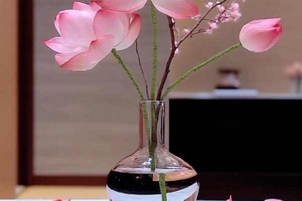 让瓶插荷花开花的方法,把温度保持在15-25℃