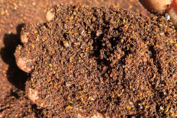 怎么养韭莲，每隔2-3个月追施一次有机肥