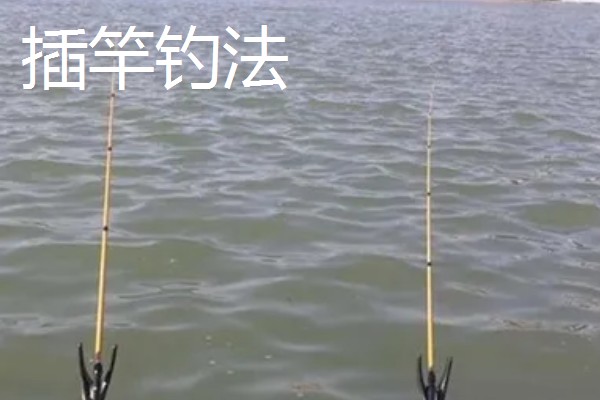 传统钓有什么技巧，分为以下8种钓法