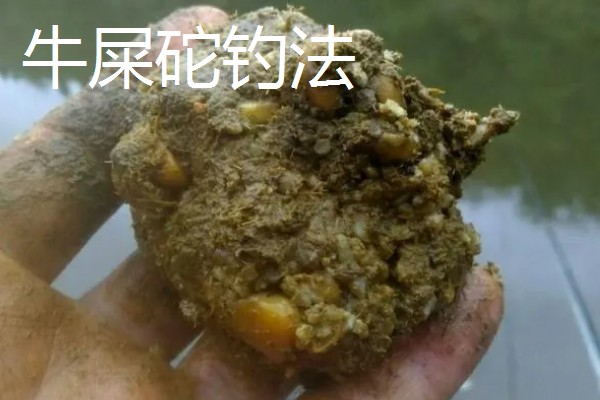 传统钓有什么技巧，分为以下8种钓法