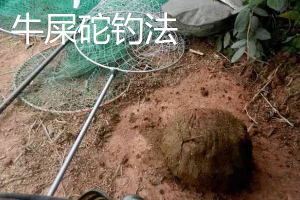 传统钓有什么技巧，分为以下8种钓法