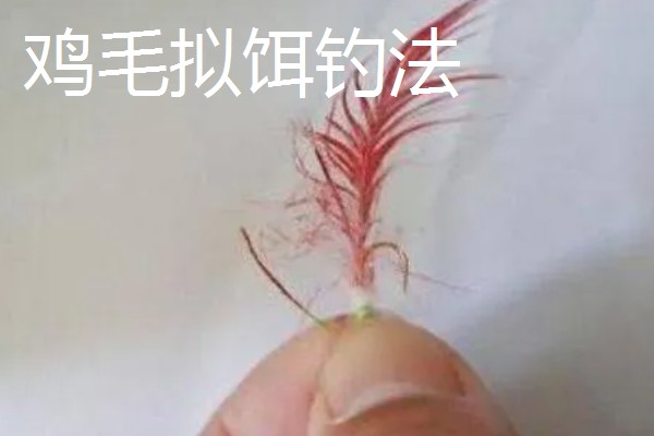 传统钓有什么技巧，分为以下8种钓法