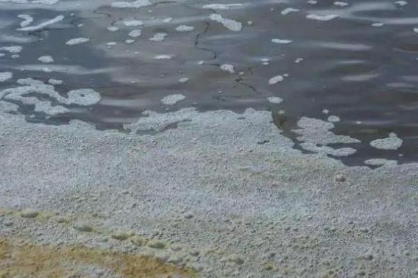 鱼塘油膜是不是水体过肥造成的，一般是肥水的标志