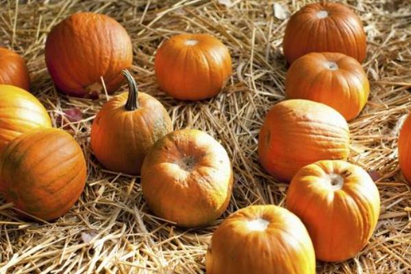 存储南瓜的技巧，有以下3种方法