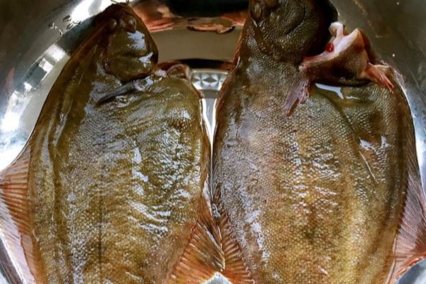 小嘴鱼简介，因嘴巴很小而得名