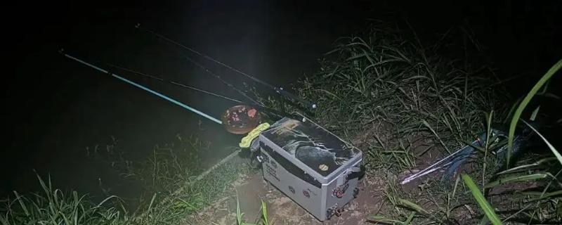 夜钓的简介,夜晚更容易钓到大鱼