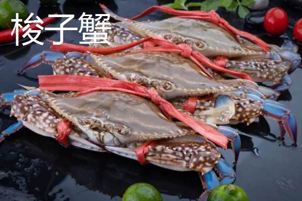 螃蟹的价格,售价会受到品种的影响