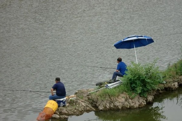 野钓用什么饵料，推荐自然饵料、商品饵料等