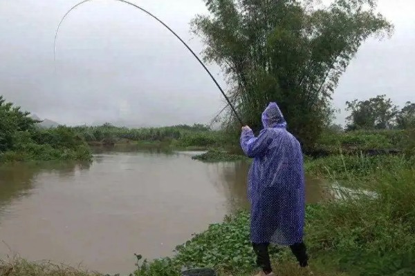 野钓用什么饵料，推荐自然饵料、商品饵料等