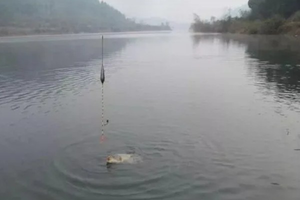 野钓用什么饵料，推荐自然饵料、商品饵料等