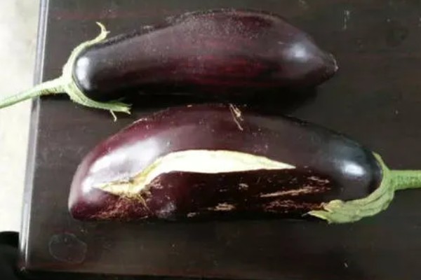 茄子裂果的原因，主要是生长调节剂使用不当所致