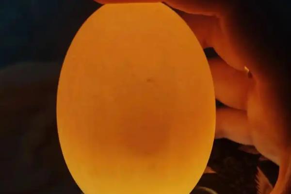 怎么孵化鹅蛋，把温度保持在37.8℃左右