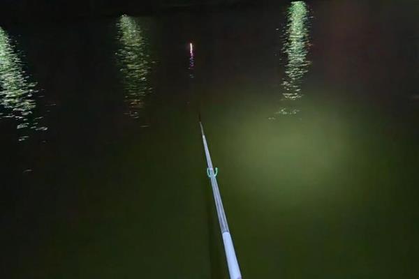 夜钓的简介,夜晚更容易钓到大鱼