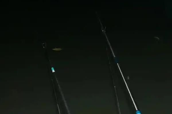 夜钓的简介,夜晚更容易钓到大鱼