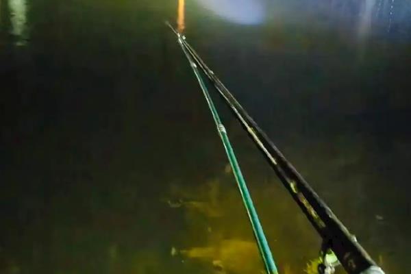 夜钓的简介,夜晚更容易钓到大鱼