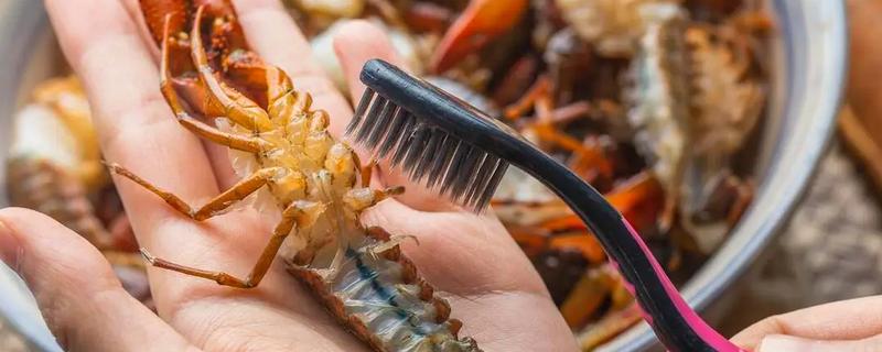 小龙虾怎么清洗,可以用盐水先浸泡