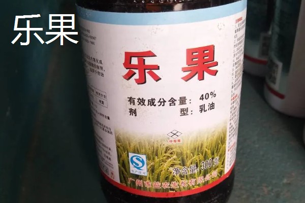 荔枝的种植方法,定植一个月后施以速效氮肥为主的肥料