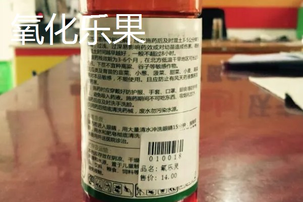 荔枝的种植方法,定植一个月后施以速效氮肥为主的肥料