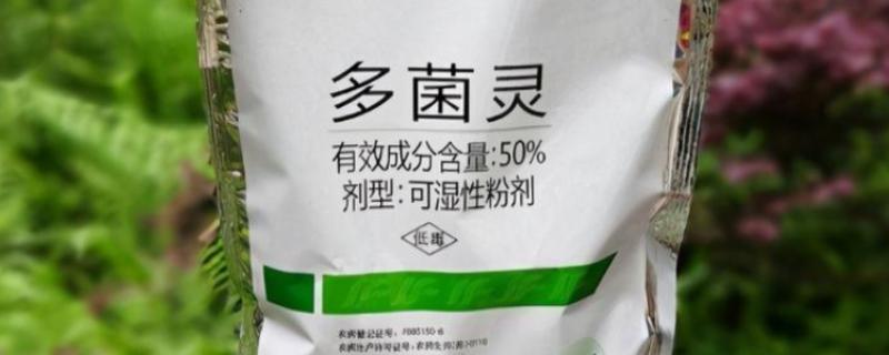 多菌灵的使用注意事项,不可与强碱性及含铜制剂混用