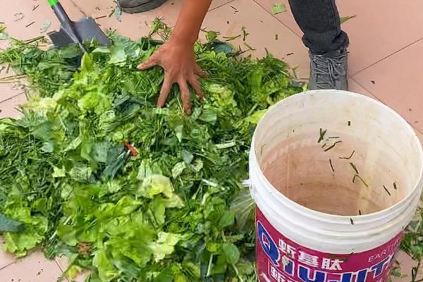 自制花肥的方法，可将淘米水和食醋混匀发酵