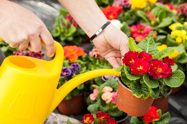 自制花肥的方法，可将淘米水和食醋混匀发酵