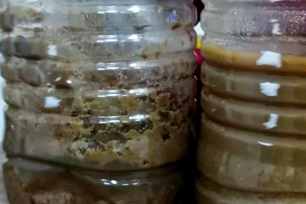 自制花肥的方法，可将淘米水和食醋混匀发酵