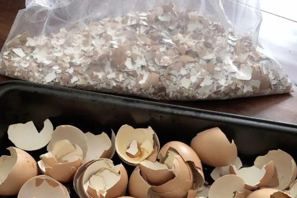 自制花肥的方法，可将淘米水和食醋混匀发酵