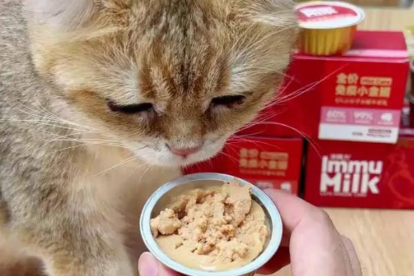 小猫不吃猫粮但又要叫的原因，可能是还没有吃习惯